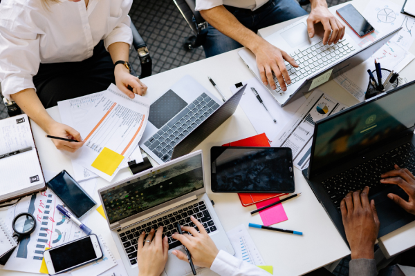 Advanced Tendering Procedures and Bid Evaluation Strategies
