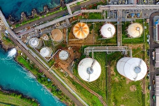Global Oil and Gas Management: Strategies and Best Practices